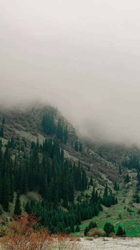 unsplash_PNWm1GAxLiA_Issyk.webp.jpg.jpg.jpg