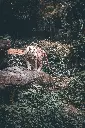 image_1920