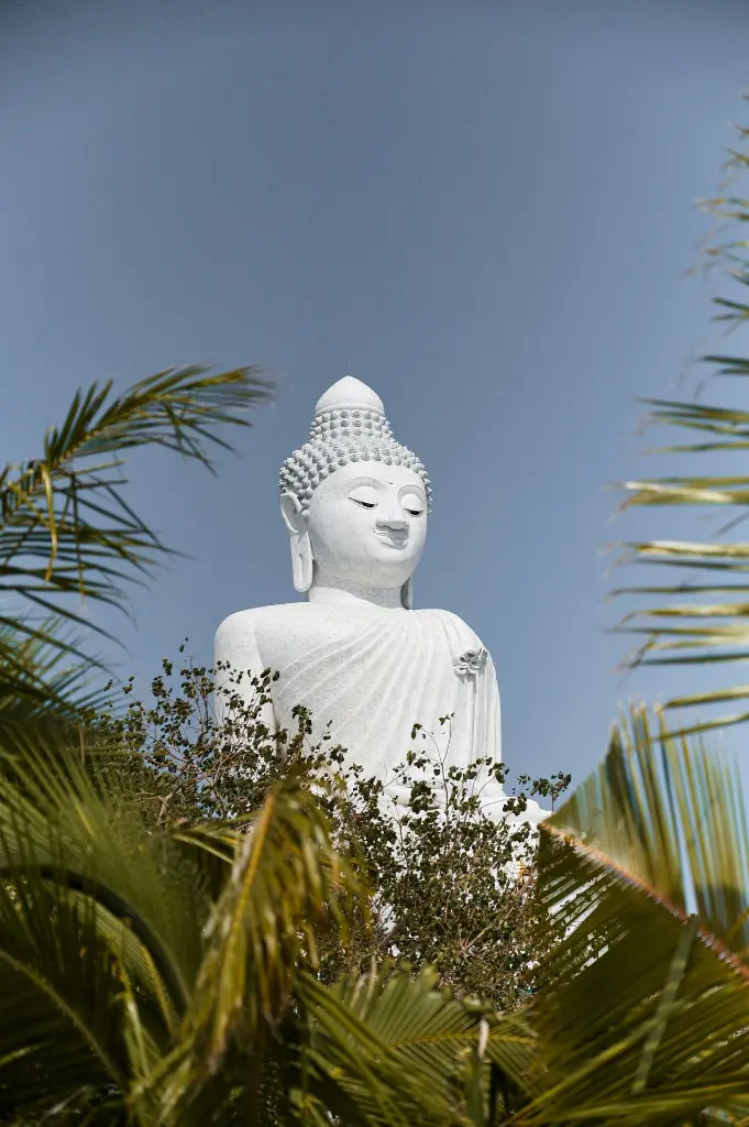 unsplash_6xNJRW-agOc_Koh Yawasam.webp.jpg