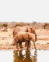 Hospitor : A Snapshot of Kenya