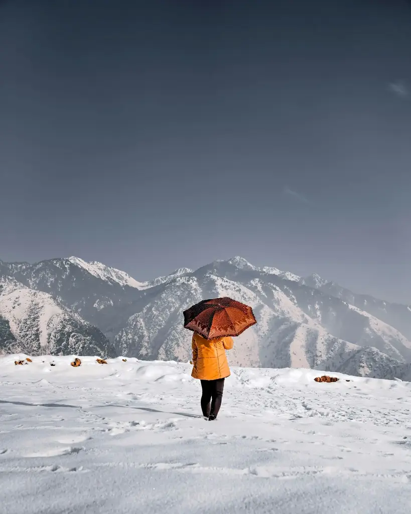 Hospitor : Mini Break at Srinagar : Jammu & Kashmir : India