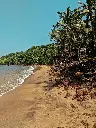 Hospitor : Goa Groove Tour : India