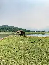 Hospitor : Portraits of Odisha : Puri : Barkul : Gopalpur : Bhubaneswar : India 