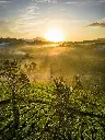 Hospitor : Flavours of Kerela : Kochi : Munnar : Thekkady : Kumarakom : Kovalam : India
