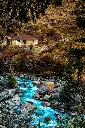 Hospitor : Himachal Tranquilo : Shimla : Manali : Dharamshala : Chandigarh : India 