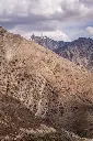 Hospitor : Echoes of Leh Ladakh : Nubra : Pangong : Tsomoriri : India