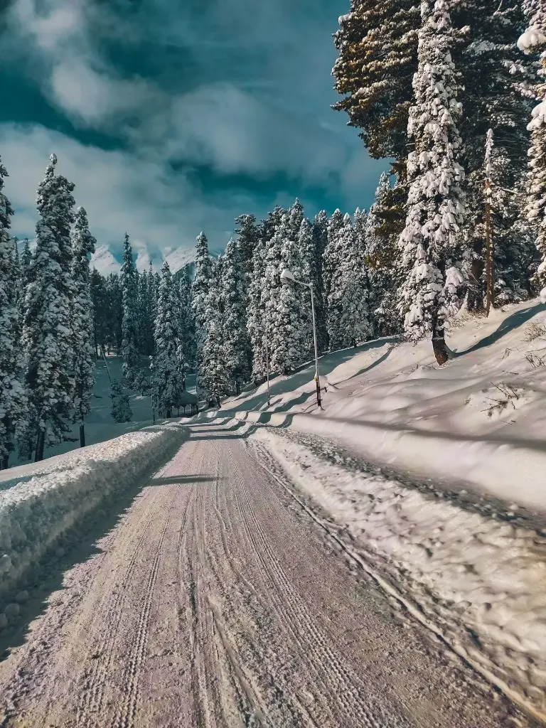 Hospitor : The Pines and Pools of Kashmir : Srinagar : Pahalgam : Gulmarg : India