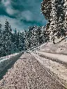 Hospitor : The Pines and Pools of Kashmir : Srinagar : Pahalgam : Gulmarg : India