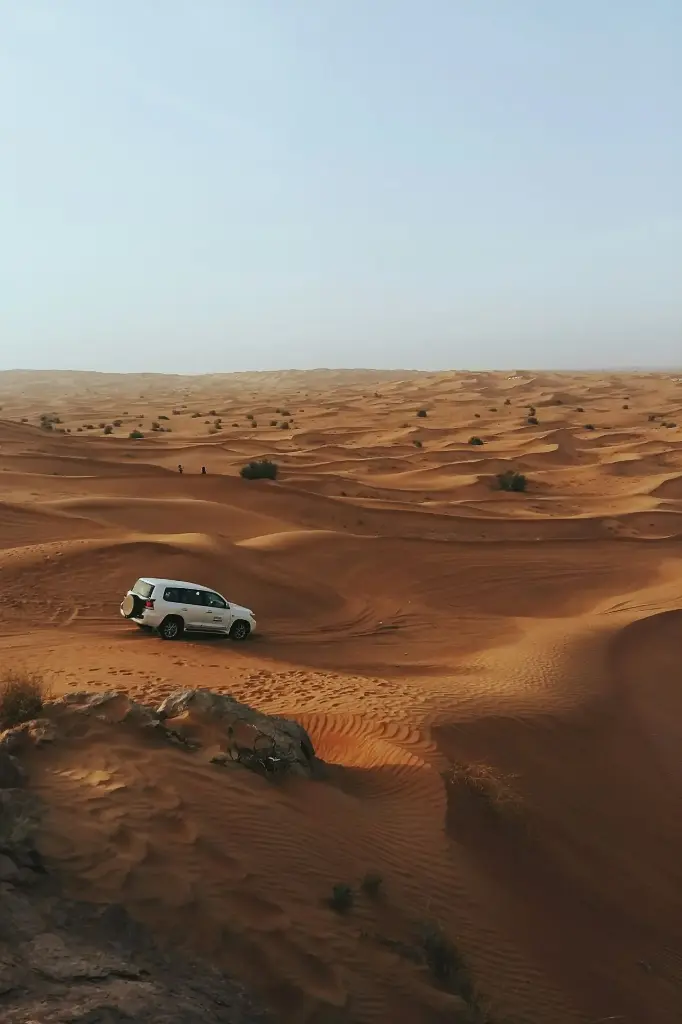 Dubai Economy Tour Package