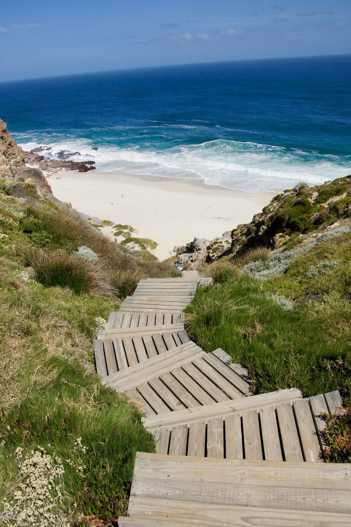Hospitor : Echoes of South Africa : Pilanesburg : Cape Town : Knysna : Sun City : Johannesburg  
