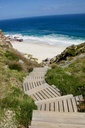 Hospitor : Echoes of South Africa : Pilanesburg : Cape Town : Knysna : Sun City : Johannesburg  