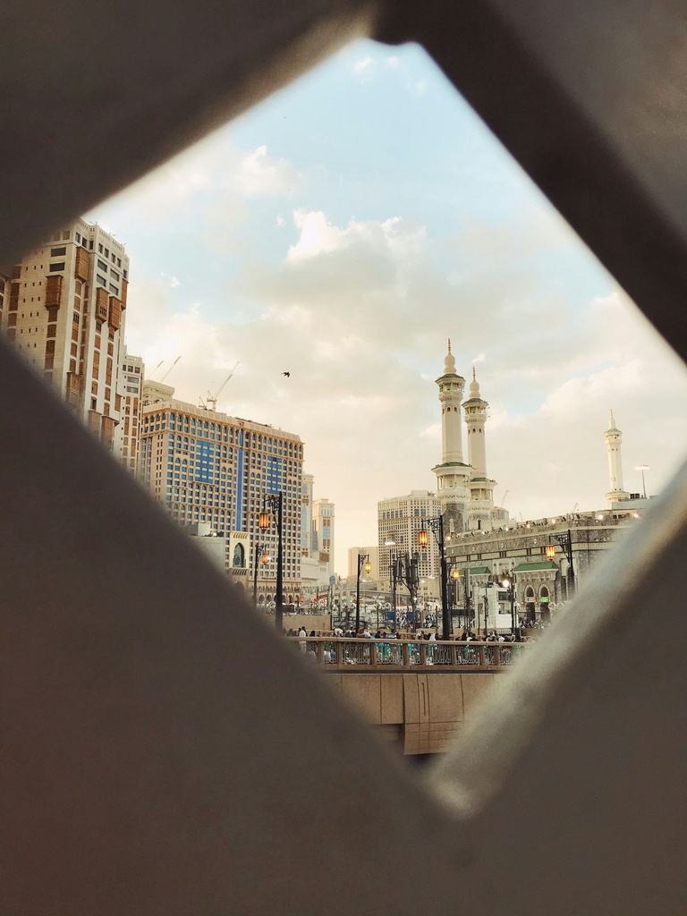 Hospitor : Saudi's Kingdom with Red Sea Coast : Saudi Arab (1, 0, 0, 0)