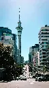 Hospitor : Shining Stars of Northen Island : New Zealand