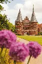 Hospitor : Dive into Heart of Germany