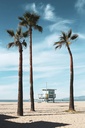 Hospitor : The Golden Southwest Experience: Las Vagas, Los Angles, The Grand Canyon