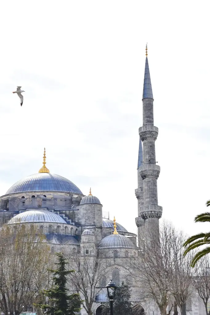 Hospitor : The Turkish Enclave : Turkey 