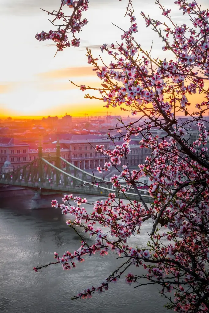 Hospitor : Roaming the Heart of Europe