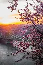 Hospitor : Roaming the Heart of Europe