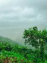 Hospitor : Just Mahabaleshwar : Maharashtra : India