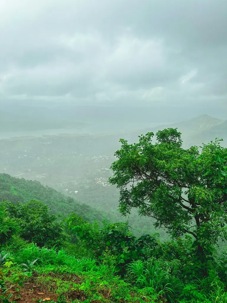 Hospitor : Just Mahabaleshwar : Maharashtra : India