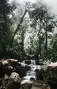 Hospitor : Getaway to Pachmarhi : India 