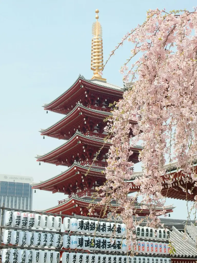 Hospitor : Tales of Japan: Tokyo to Osaka via Hakone, Hiroshima & Kyoto 