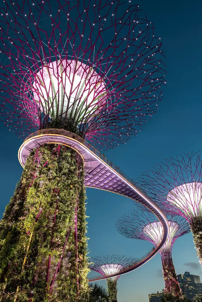 Hospitor : Scenic Singapore Deluxe Tour Package 