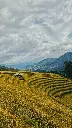 Hospitor : Premium Vietnam Visuals 