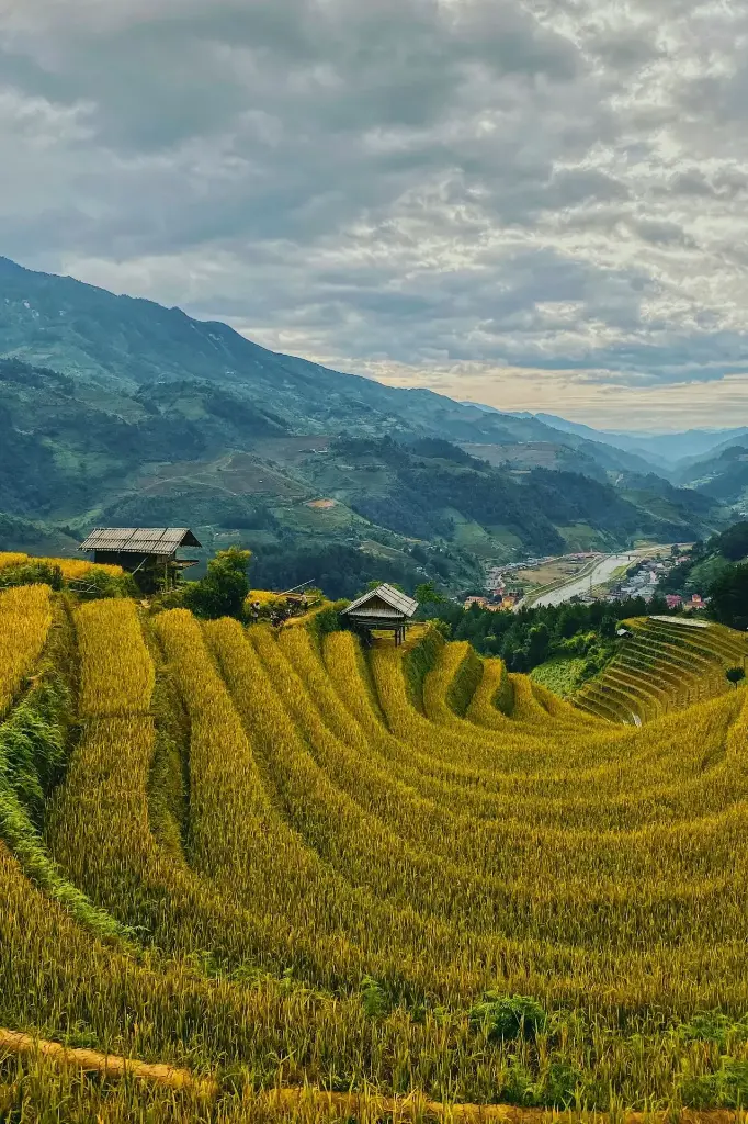 Hospitor : Experience Luxurious Vietnam