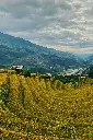 Hospitor : Experience Luxurious Vietnam 