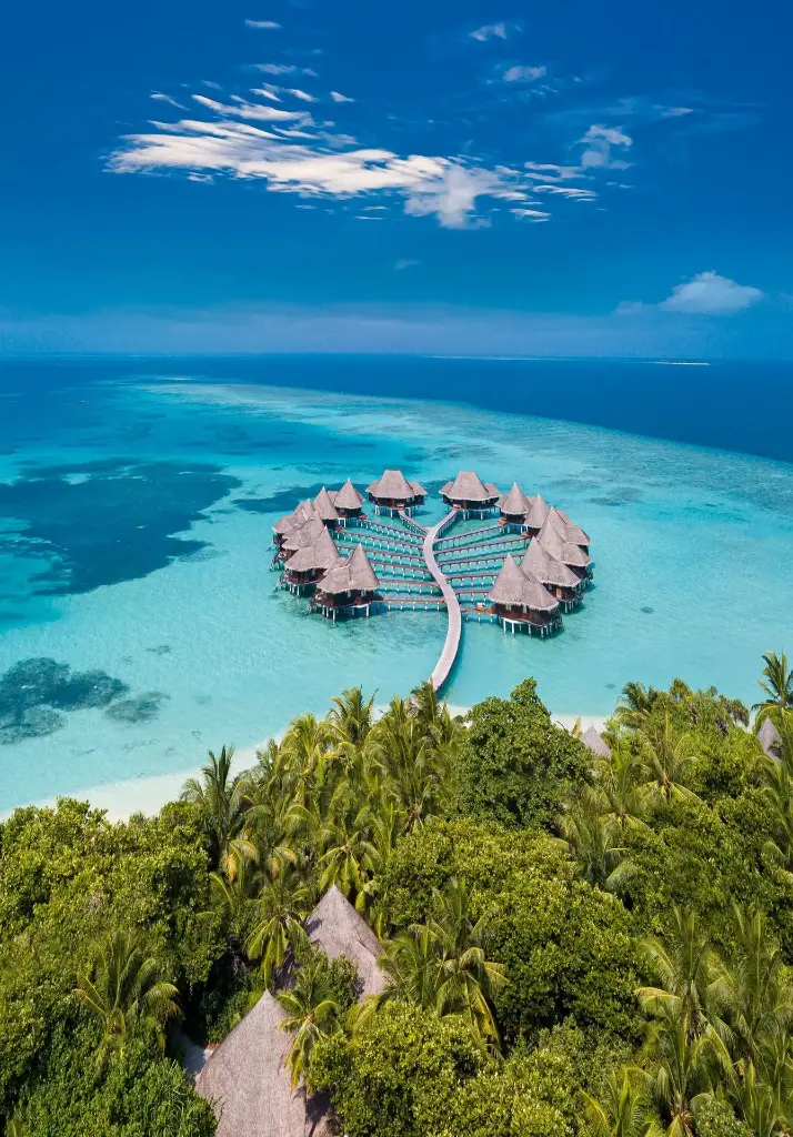 Hospitor : Enchanting Deluxe Maldives 