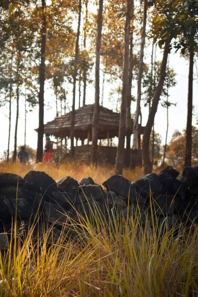 Hospitor : Premium Flavours of Kerela : Kochi : Munnar : Thekkady : Kumarakom : Kovalam : India