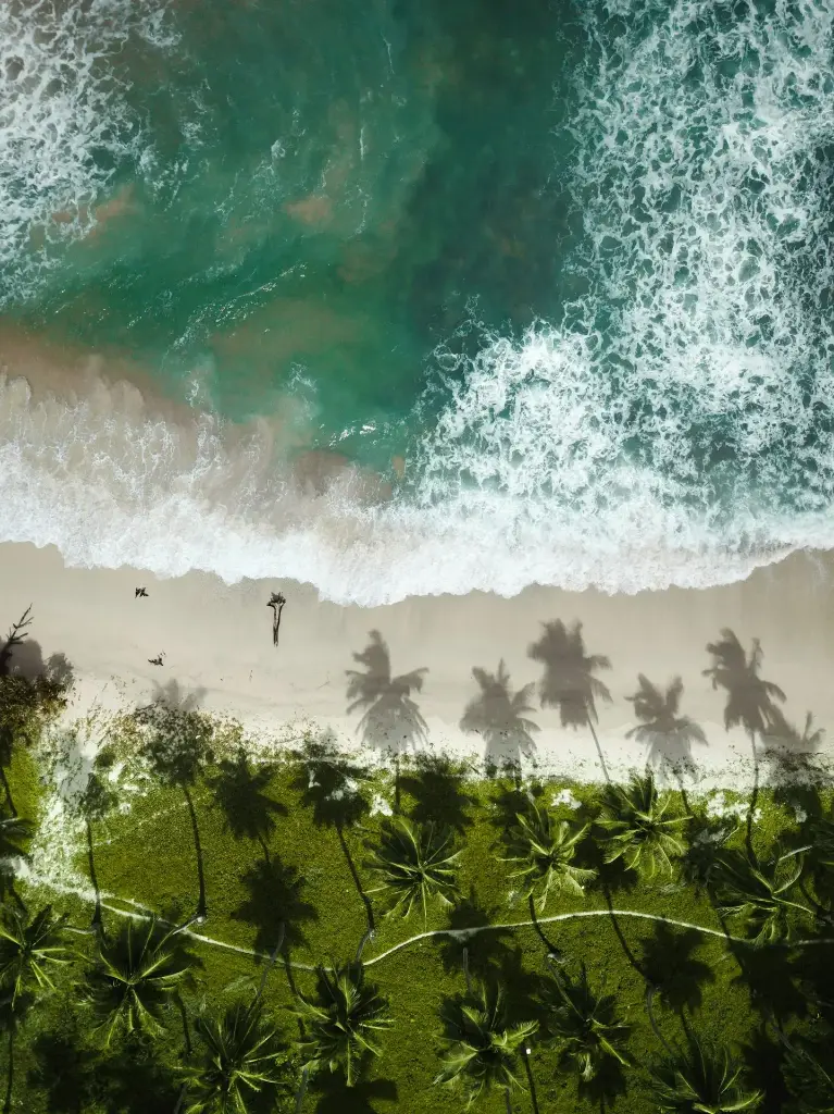 Hospitor : Premium Reverie : Andaman : Havelock : Neil Island