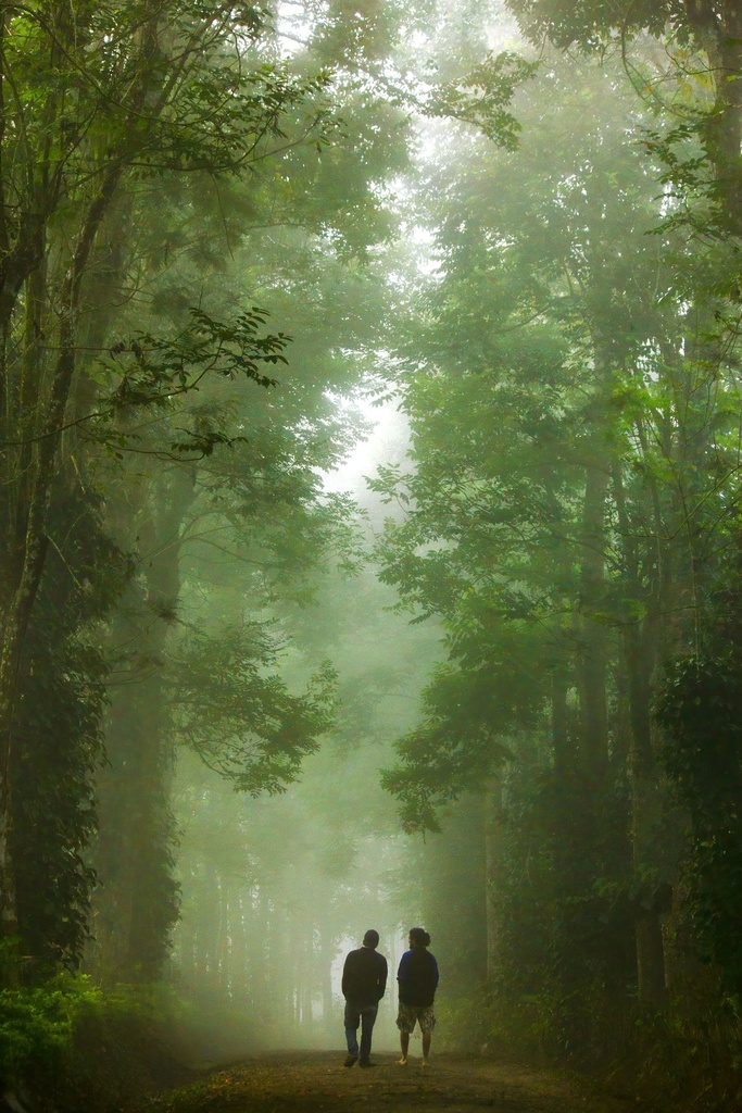 Hospitor : Deluxe South : Banglore : Mysore : Coorg : Ooty : India