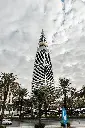 Hospitor : Lavish Saudi Arab 