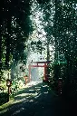 Hospitor : Japan's Premium Destinations