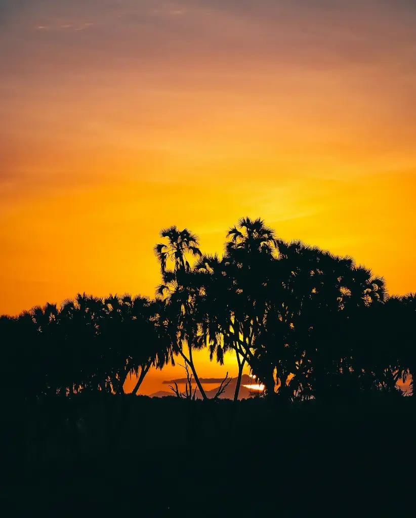 Hospitor : A Snapshot of Deluxe Kenya 