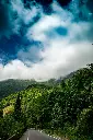 Hospitor : The Lavish Trident : Darjeeling : Gangtok : Kalimpong : India 