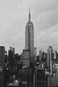Hospitor : From DC to NYC : United States Of America