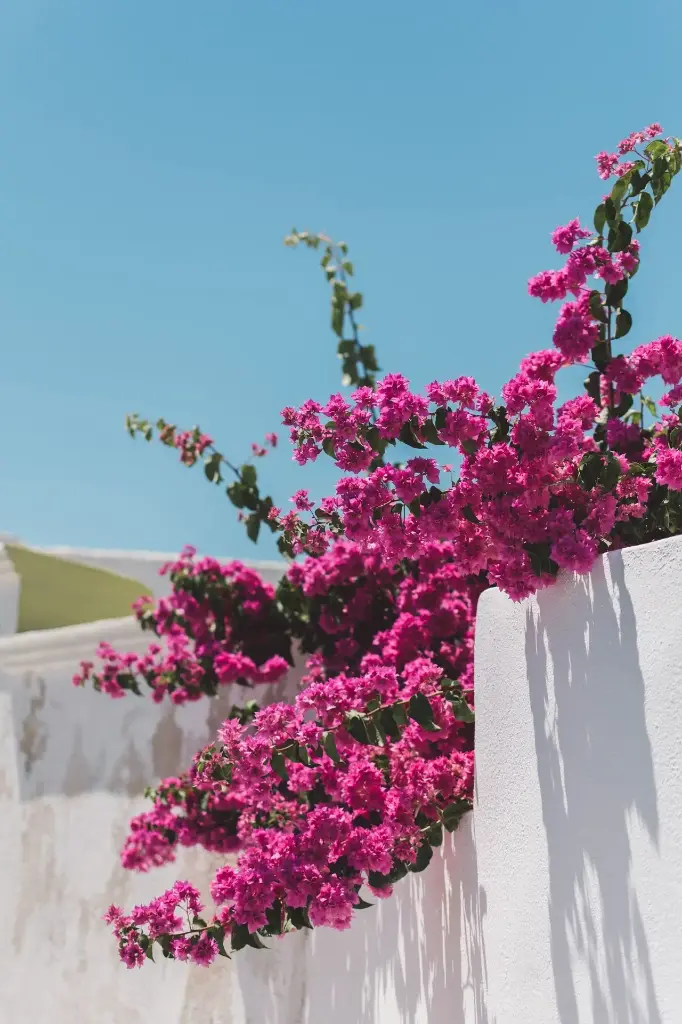 Hospitor : Classical Greece & the Aegean : GREECE : TURKEY 