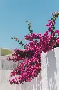 Hospitor : Classical Greece & the Aegean : GREECE : TURKEY 
