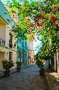 Hospitor : Havana Highlights : Cuba : Europe 
