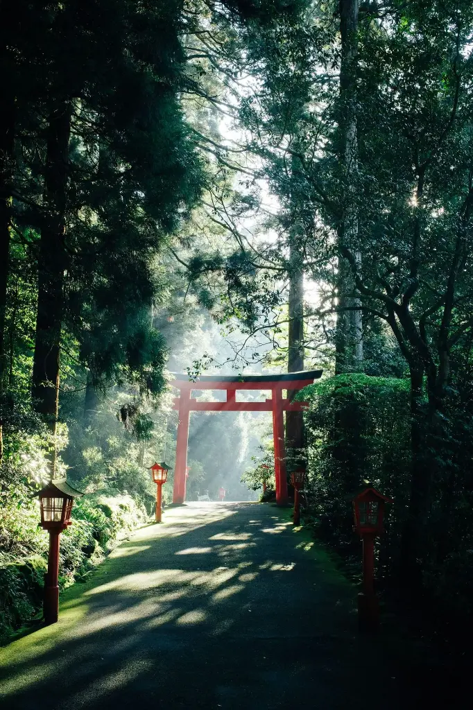 Hospitor : Twin Treasures of Asia : Japan : South Korea