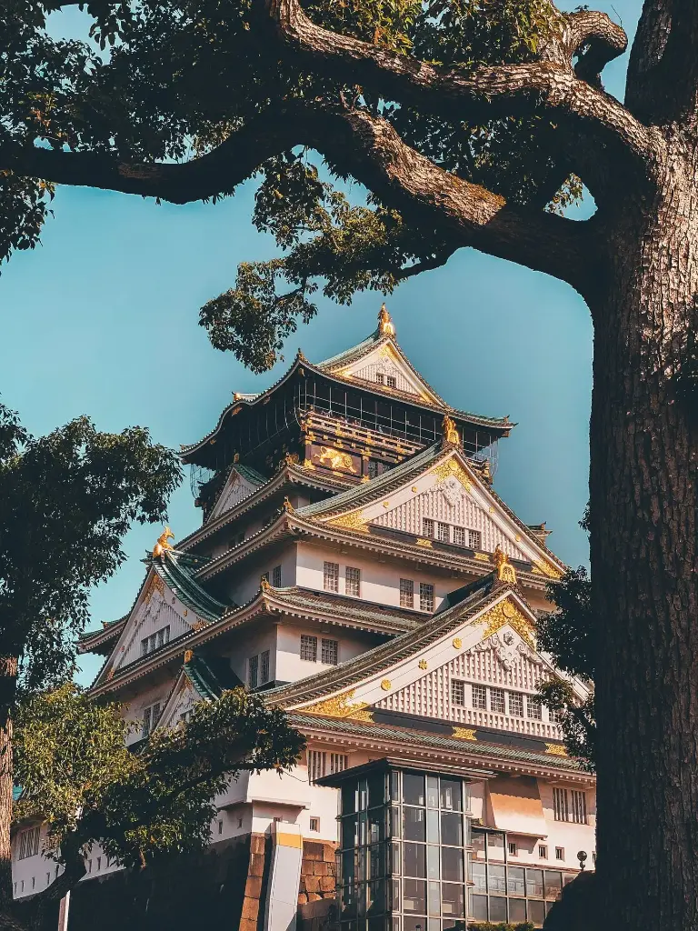 Hospitor : Two Cultures, One Journey: South Korea & Japan