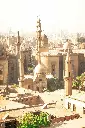 Hospitor : Nile Dreams & Red Sea Bliss : EGYPT
