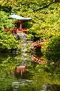 Hospitor : Japan: Land of Grace & Innovation