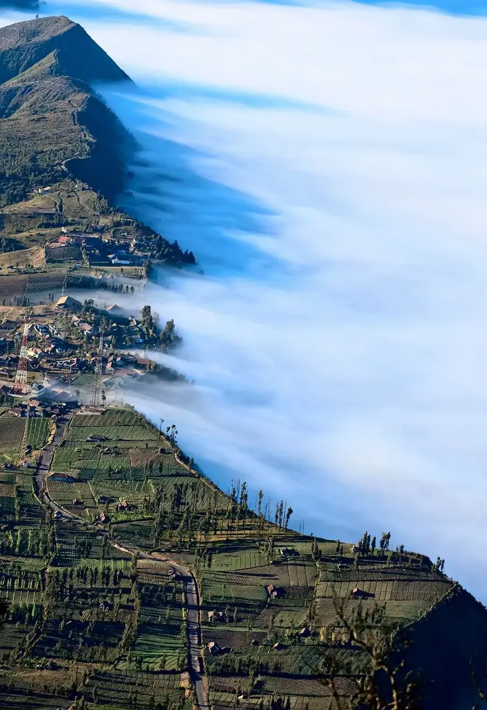 Hospitor : Hidden Gems of Bali Economy : Indonesia