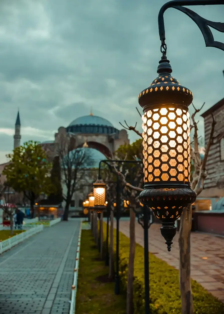 Hospitor : Just Turkey 