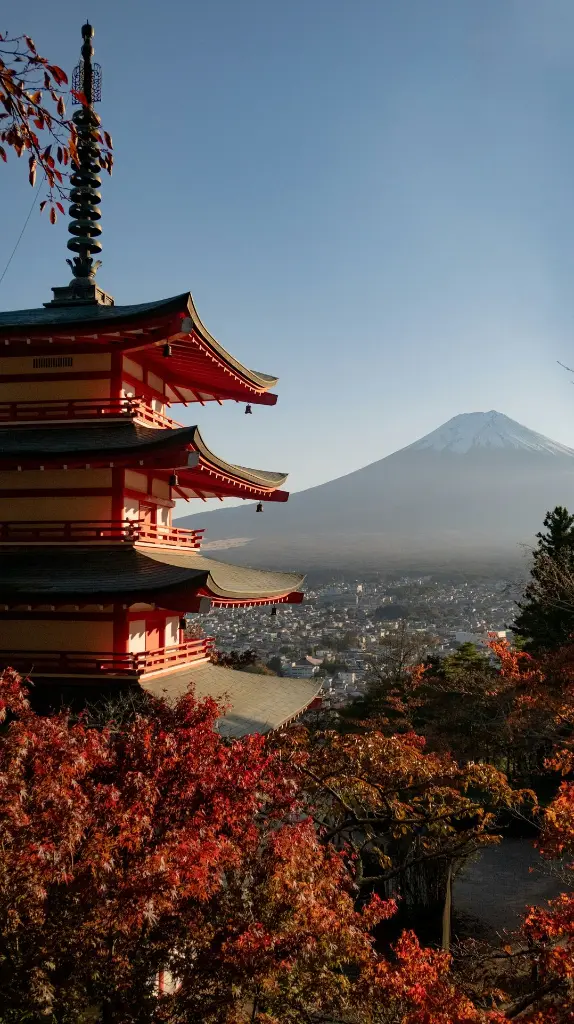 Hospitor : From Neon to Nature: Tokyo to Fuji : japan