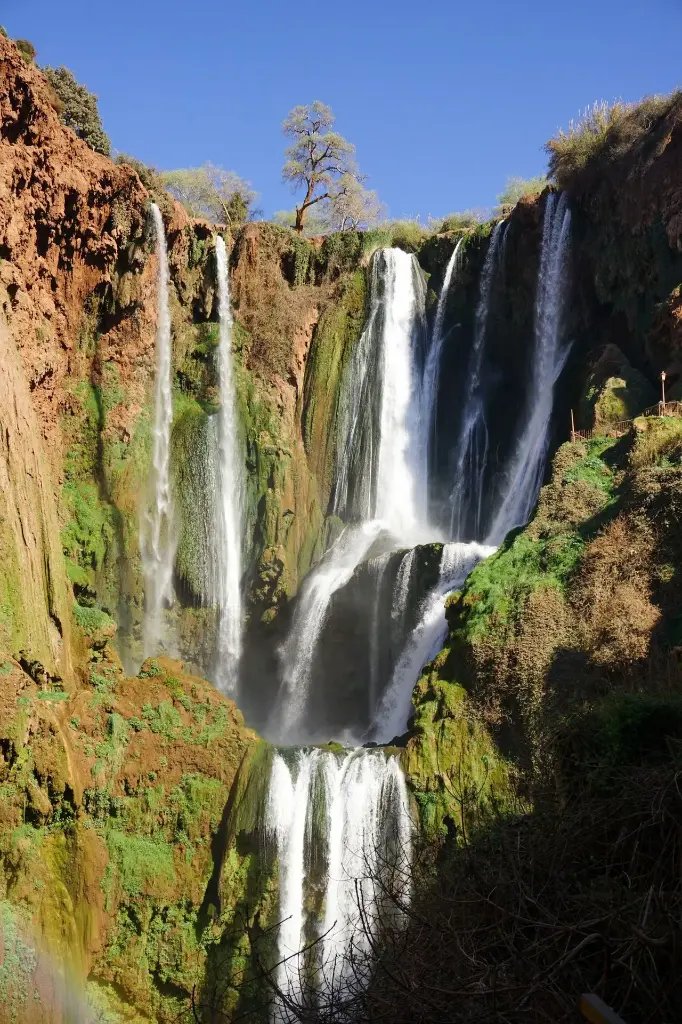 Hospitor : Magic of Morocco